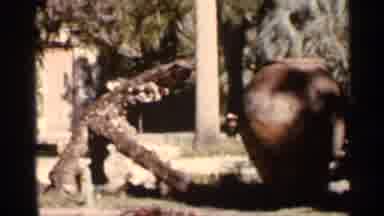 Florida USA (1966): Travel Distention With Water Fountains And Walking Pt's