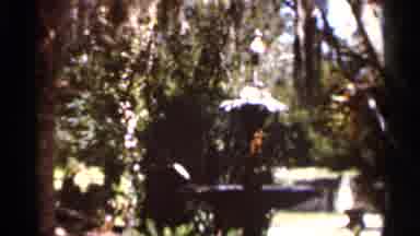 Florida USA (1966): Outdo Other Summer Odis Relaxing One Flowing Fountain In Water