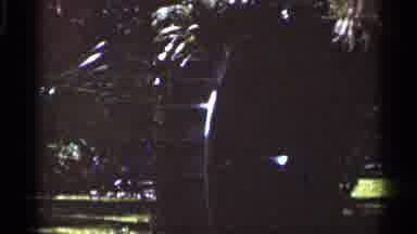Florida USA (1966): At Park Trees Blowing In Wind Statue Of Man Wheel Spinning
