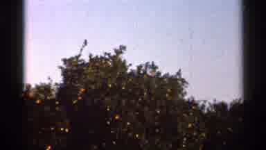 Thumbnail from Florida Beach Culture (1950-1970) collection