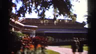 Florida USA (1966): Beautiful Weatherboarding Of Past Hers In Field Full Of
