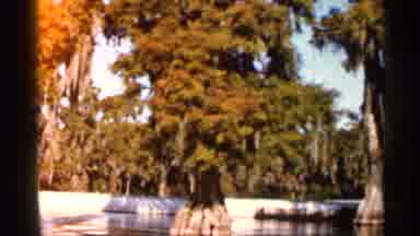 Florida USA (1966): People Celebrating A Important Day With Spectacular Water