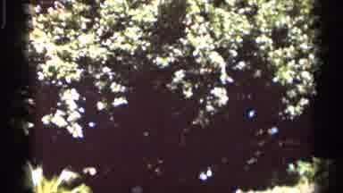 Florida USA (1966): Motherliness Of Mexico Are Md Of This