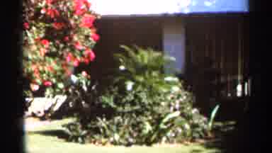 Florida USA (1966): Wonderful And Outstanding Looks Round House And Lawn And