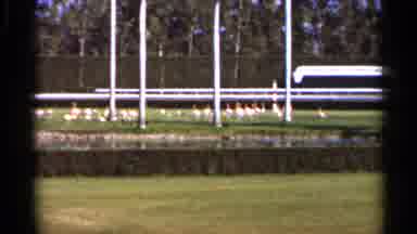 Florida USA (1966): Poles Rise Father On Landscape Of Grass And Small Pool Of