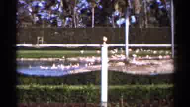 Florida USA (1966): Rules Of Venetian Pool Posted In Old-Fashion Video