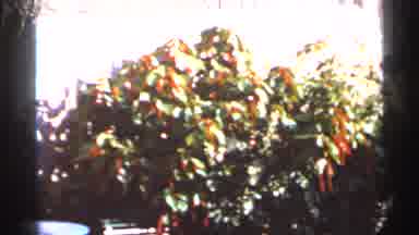 Florida USA (1966): Venetian Pool Sign On Cleo Day