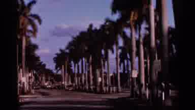 Florida USA (1966): Different Pace To See Rod And Other Things We Are Shows Pace