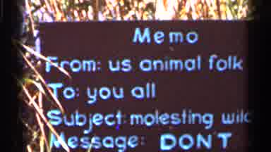 Florida USA (1966): Sign At Zoo Bird Eating Food