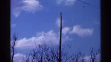 Florida USA (1966): Big Tall Post Standing Up In Middle Of Wooded Are Round It
