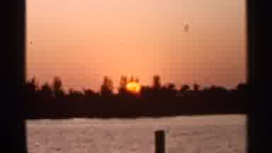Florida USA (1966): Grandmother Sun Setting Behind Palm Trees On Cleo Evening