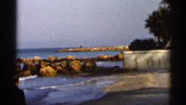 Florida USA (1966): Man Walking Down Rocky Beach Earshot Condos With Palm Trees