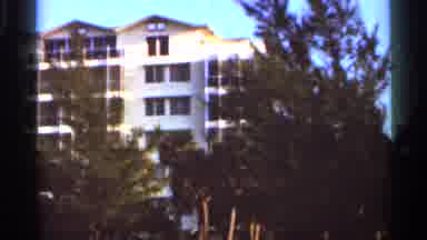 Florida USA (1966): Green Trees And White Buildings On Cleo Sunny Day