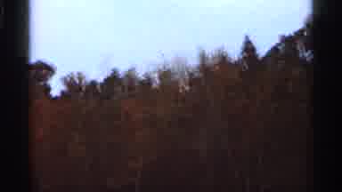 Florida USA (1966): Trees Footrest Mountains Hillside Nature Outdo Others Hill