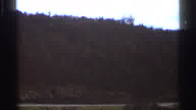Georgia USA (1966): Tn Farmland And Trees On Cleo Day