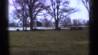 Georgia USA (1966): Super Pace And Land Give Very Peacefulness And Hippy To See