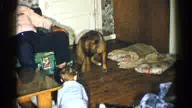 New York (1955): Dog And Boy Playing On Flo Other Inside House