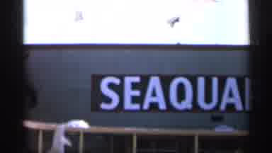 Alabama (1958): White Sequester Sign On Bright Sunny Day