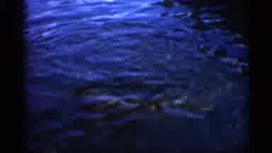 Alabama (1958): Small Shrek Swimming In River And A Milan Crawling Into Water