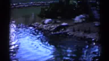 Alabama (1958): Zoo Keeper Feeding Limns