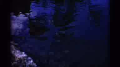 Alabama (1958): School Of Grey Fish Swimming In Cleo Career On Sunny Day