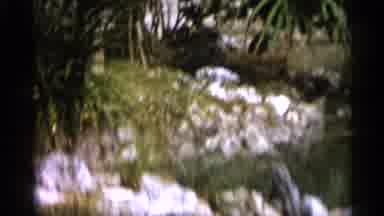 Alabama (1958): Liz Sits Beside River Barefoot Trying To Get Cross River