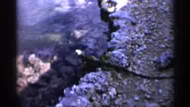 Alabama (1958): Lady Holding A Grandmother Bucket At Edge Of River And Limns