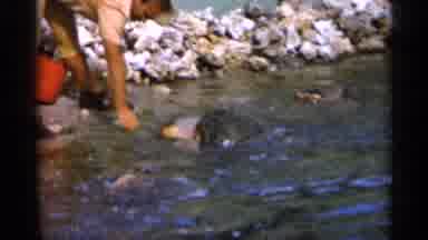 Alabama (1958): Person By Like Catching Fish