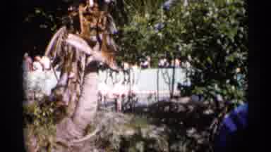 Alabama (1958): Flamingos Greg One Water At Zoo S Onlookers Ass By