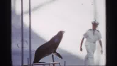 Alabama (1958): Sea Does Trick Father Kiss