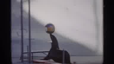 Alabama (1958): Bounces Ball On Its Noise And A Gives It To Silo