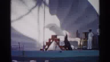 Alabama (1958): Old Fuzzy Sea Carrying Ball Down Stairs Next To Pool Of Water