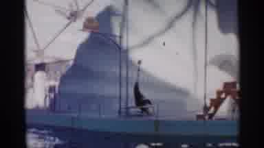 Alabama (1958): Blinding Ball On Nose A Man With Birds