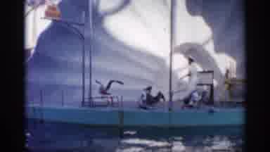 Alabama (1958): Pelicans And Dolphin At Milan Park With Keeper Standing By Pool