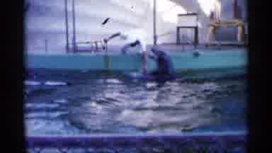 Alabama (1958): Dolphin Doing Jump Trick To Get Trey