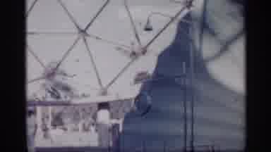 Alabama (1958): Dolphins In Pool Outperforming Tricks And Stunts Under Supervision