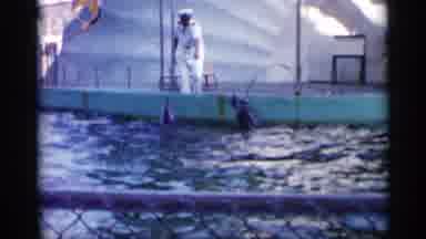 Alabama (1958): Group Of Dolphins Obey Instructional And Follows Ht He Mys