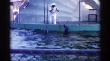 Alabama (1958): Dolphins Swimming Doing Tricks