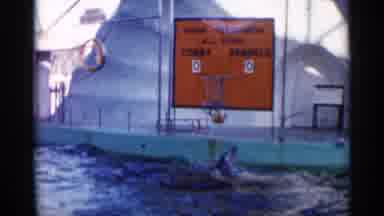 Alabama (1958): Dolphin Playing Hippy And Cheerful Basketball In Water