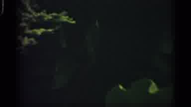 Alabama (1958): Fish Swim In Dr Curium With Some Soother Of Other