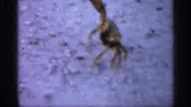 Alabama (1958): Car Stands On Its Legs It's Cl's Are Leching Up To Fight Off Being