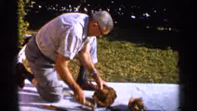 Alabama (1958): Man Wearing White Shirt Removes Outer Coconut Shell On Sunny Day