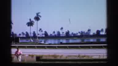 Alabama (1958): Palm Tree Lined Racetrack On Beautiful Sunny Day Surrounds Like