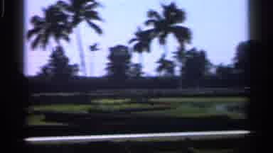 Alabama (1958): Wonderful Sea View Handsome Family Members Enjoying Are And Some