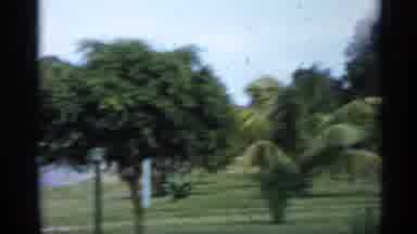 Florida (1958): Woman Dusts Bathing Suit While Outside With Kids In Sunny Green