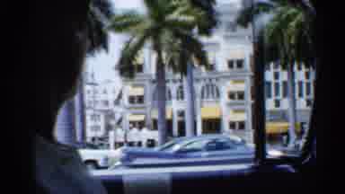 Florida (1958): Car Ride Palm Tree Driver Glasses Old Cars Talking Discussion