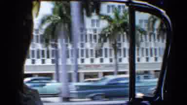 Florida (1958): Interior Of Car With Man Driving And Buildings And Palm Trees