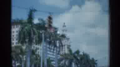 Florida (1958): Palm Trees And Downtown Traffic On Sunny Day