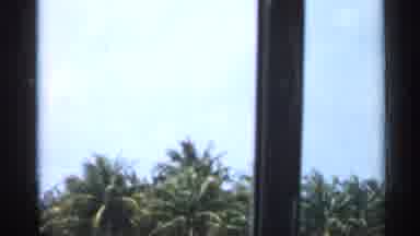 Florida (1958): Lots Of Summer Palm Trees Around Us