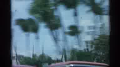 Florida (1958): Strong Winds Blow Palm Trees One Irked Cars On Rod That Runs